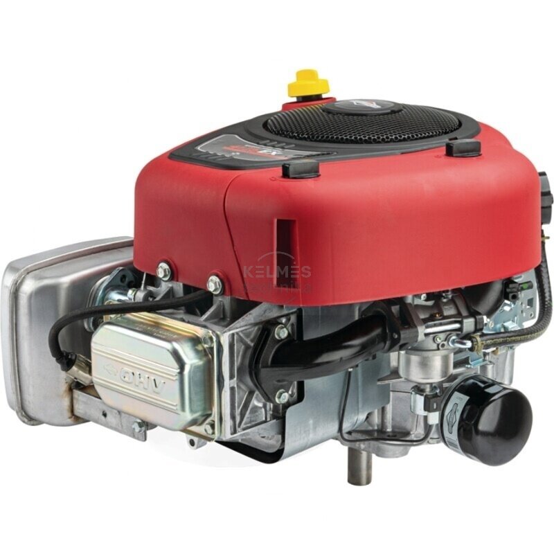 Benzininis variklis Briggs&Stratton 4175 Series 4 Intek OHV 1 Benzininis variklis Briggs&Stratton 4175 Series 4 Intek OHV 1