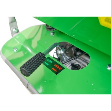 Elektrinis motorinis karutis WEIMA WM7B-220E 6