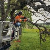 Grandininis benzininis pjūklas Husqvarna 540 XP® Mark III