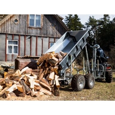 Priekaba TIMBER TRAILER COMBO Iron Baltic 79.1000 Priekaba TIMBER TRAILER COMBO Iron Baltic 79.1000