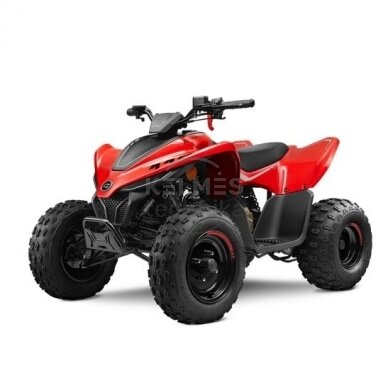 Vaikiškas keturratis CFMOTO CFORCE 110 BASIC Vaikiškas keturratis CFMOTO CFORCE 110 BASIC
