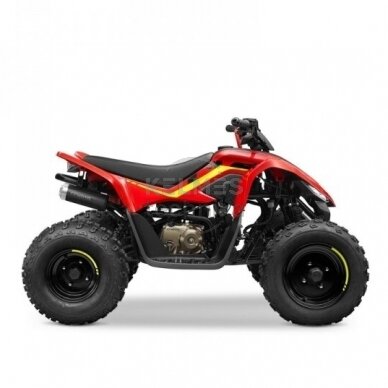 Vaikiškas keturratis CFMOTO CFORCE 110 BASIC 1